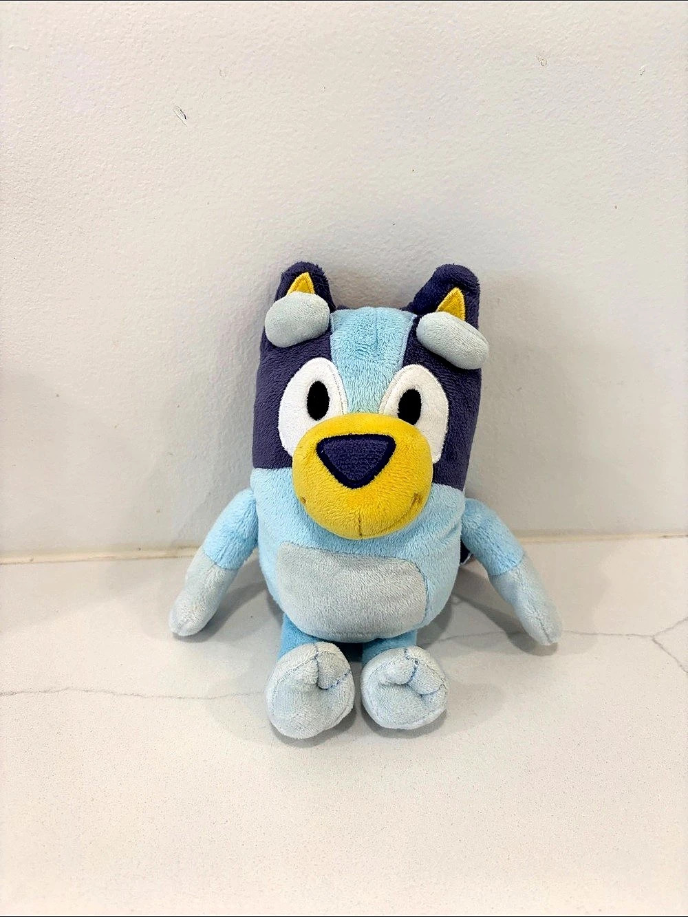 🦄5/25 Bluey Plush